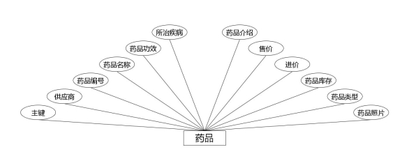 图 4.1 药品实体属性图