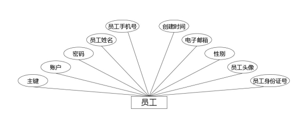 图 4.2 员工实体属性图